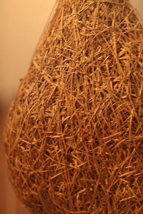 編み物上手なキムネコヨウジャクの巣！お見事！