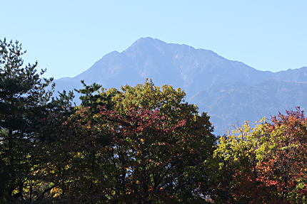 色づいた雑木林と甲斐駒ヶ岳、澄みわたる秋の空