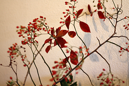 ノバラの実も、ブルーベリーの葉っぱも、真っ赤！うつくしいです