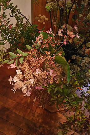 夏の盛りに白く咲いたノリウツギの花は、秋の深まりとともに紅く色づいていきます